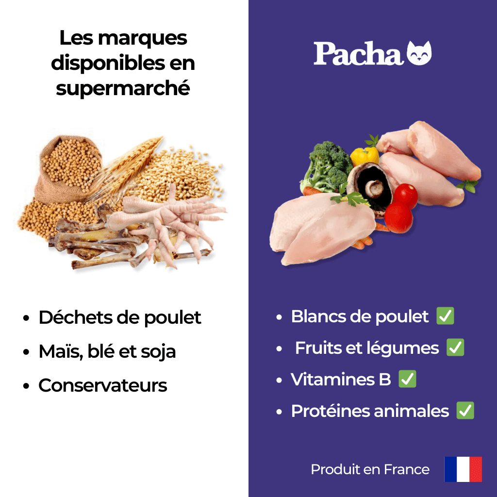 Les Délicieuses Croquettes Pacha™ au Poulet frais | Köstliches Pacha-Trockenfutter™ mit frischem Huhn