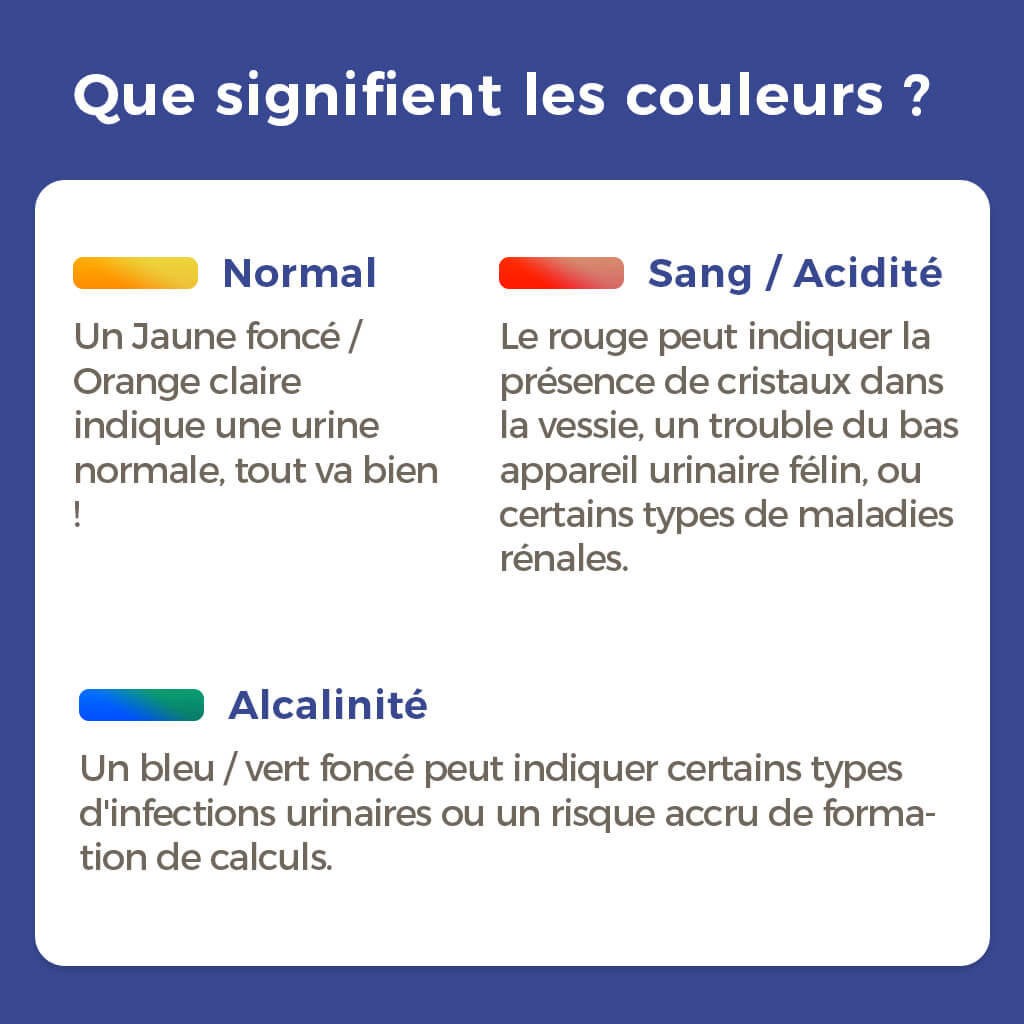 La Litière Pacha™  (Livraison mensuelle) - Duplicate