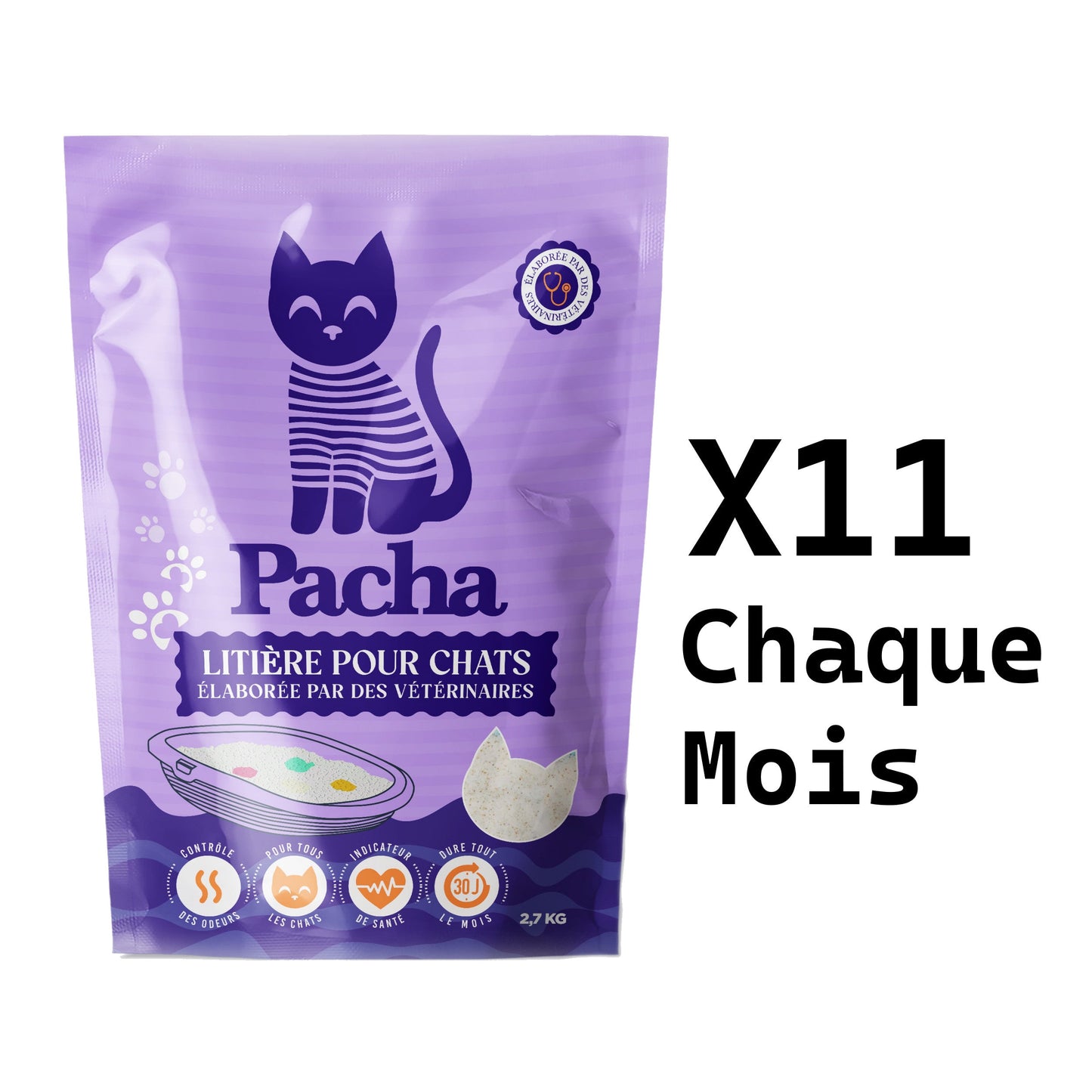11 Katzen