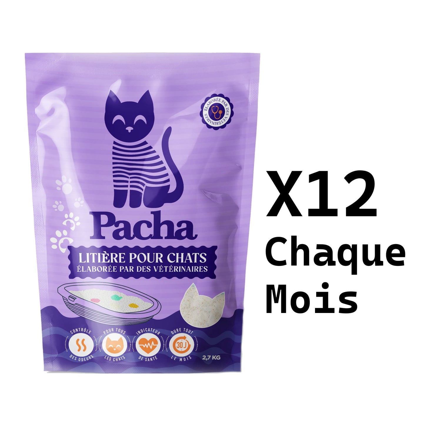 12 Katzen